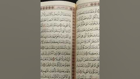 في رحاب القران الكريم(١)