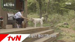 Little House in the Forest 박신혜와 폭풍 밀당하는 봉이♡ 180525 EP.8