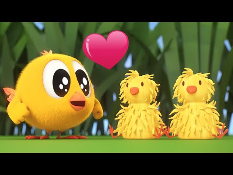 Where's Chicky? Funny Chicky 2023 | NEW LITTLE FRIENDS | Cartoon in English for Kids | New episodes