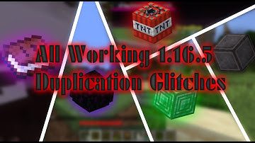 Minecraft Java 1.16.5 All Working Multiplayer Duplication Glitches! (Realms & Paper)