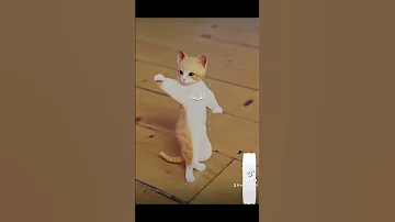 رقص قطة على اغنية جوجو جوجو Shorts اشتراك 2023 