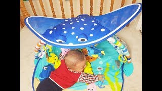 disney baby mr ray baby gym