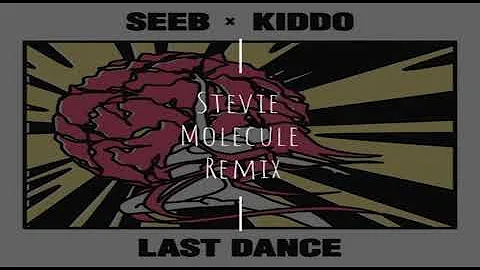 Seeb & KIDDO  - Last Dance (Stevie Molecule Remix)