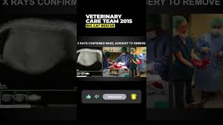 Vet Care Presentation By Dr. Boorstein~Part 37 Of 59