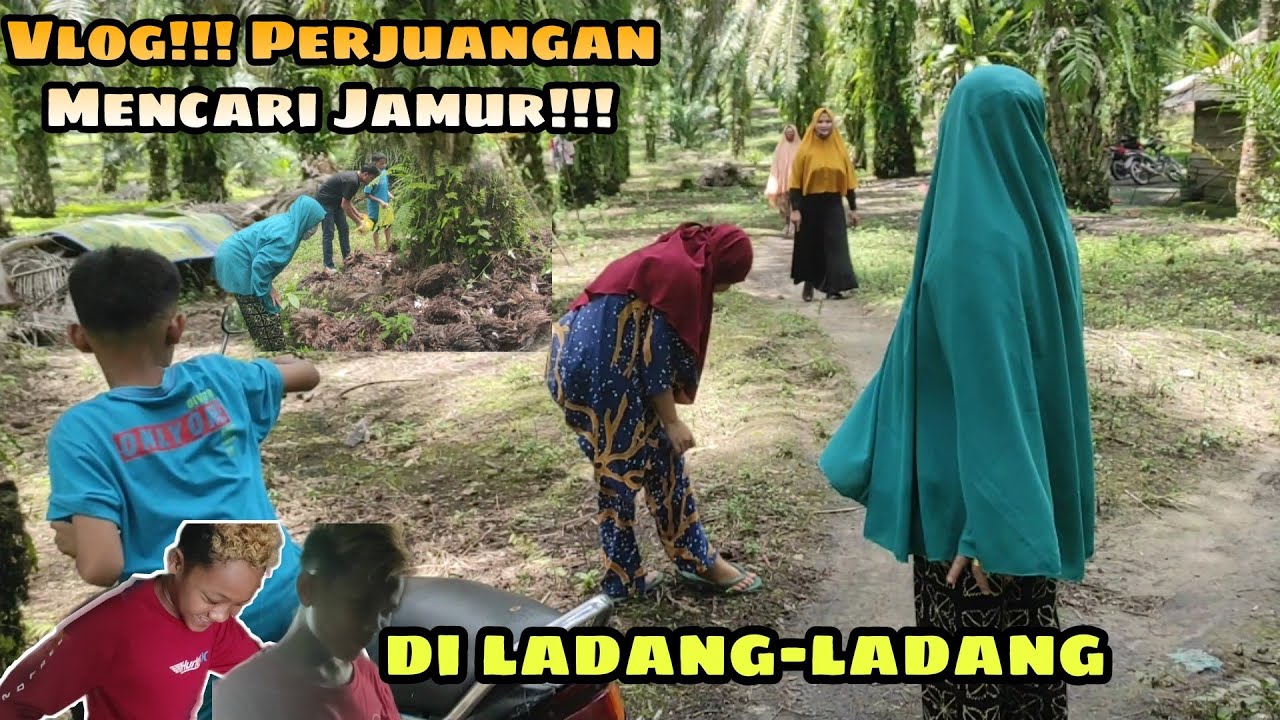 VLOG!!! Perjuangan Mencari Jamur Diladang-ladang!!!