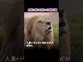 人類に恨みを抱いた動物2選