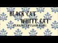 Gymnastics floor music  black cat white cat 127