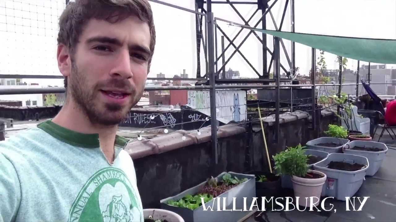 How to grow vegetables on your roof! Urban Roof Gardening in Brooklyn | Pro Home Cooks