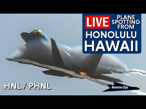 Aviation Action in Real-Time! | Live Arrivals and Departures at Honolulu Airport (HNL) 22
