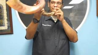 Shofar Kit de Martin Rodriguez de Mision Apostolica y Profetica