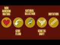Mechanisms of Evolution in Action: Exploring Non-Random Mating Gene Flow and Natural Selection