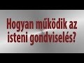 Hogyan működik az isteni gondviselés - Vankó Zsuzsa