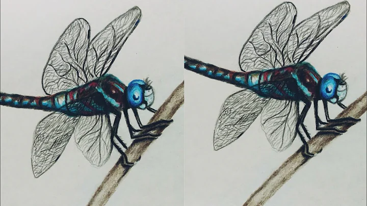 Dragonfly drawing in colour pencils | how to draw dragonfly | colour pencil drawing | step by step