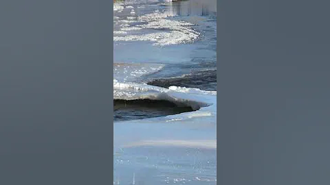 The Coldest Place in America Will Freeze Your Eyelashes! 🥶