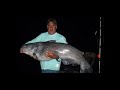 INTENSE BATTLE! 82 Pound Blue Catfish Chickamauga Dam
