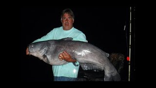 INTENSE BATTLE! 82 Pound Blue Catfish Chickamauga Dam