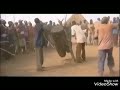 Jock badeng aka kuoth pam nuer traditional song