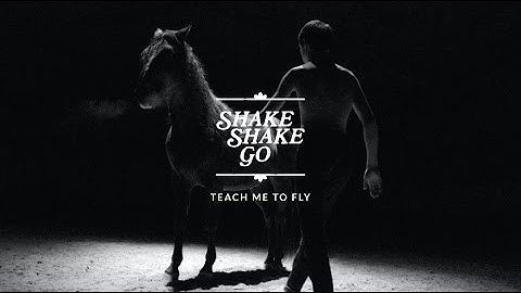 Shake Shake Go - Teach Me To Fly (Official Video)