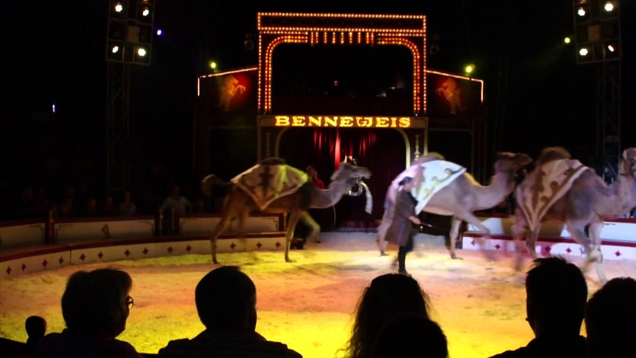 Cirkus Benneweis tilbage i Aarhus
