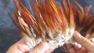 brown feather