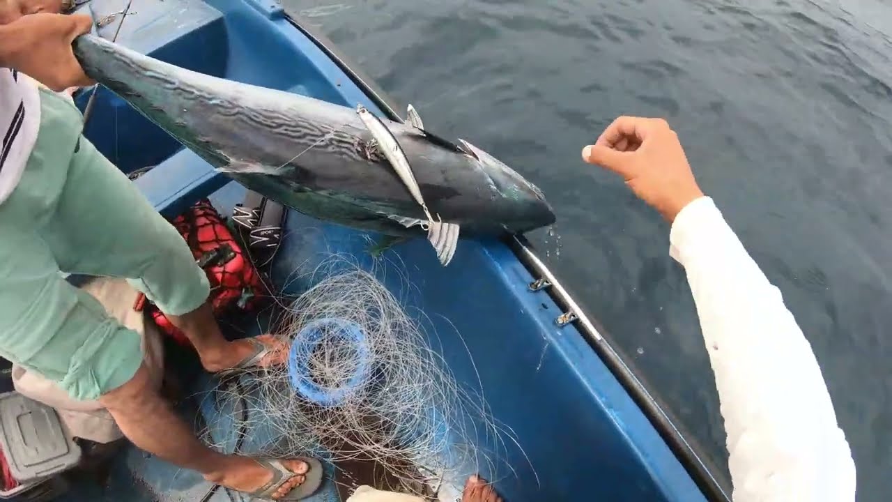 صيد الباكورا بطريقة الجر بالقارب  sortie de péche des thonines a la traine جيجل