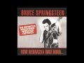 BRUCE SPRINGSTEEN - love is a dangerous thing