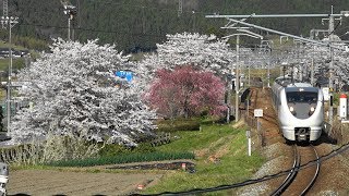 2019/04/09 5087M 特急 はしだて7号 289系(FG403編成)