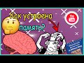 КАК УСТРОЕНА ЧЕЛОВЕЧЕСКАЯ ПАМЯТЬ?