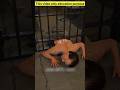 How He Fit Through a 5-Inch Slot 😨 #Shorts #TrueCrime  #AmazingStories #CrazyFacts