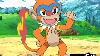 Ash's Chimchar Evolves into Monferno