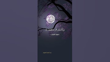 #quran #لايك #قرآن #راحة_نفسية #دويتو #حالات_واتس #duet #تيك_توك #اكسبلور #تلاوة_خاشعة