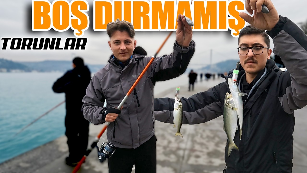 2'si 1 Arada / İstavrit ile Hırsızlı Çinekop Takımı