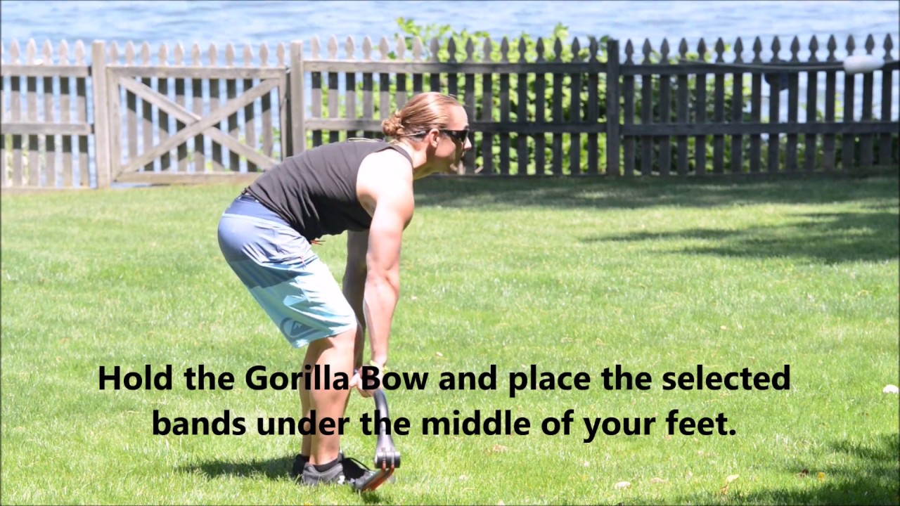 Gorilla Bow Workout Chart