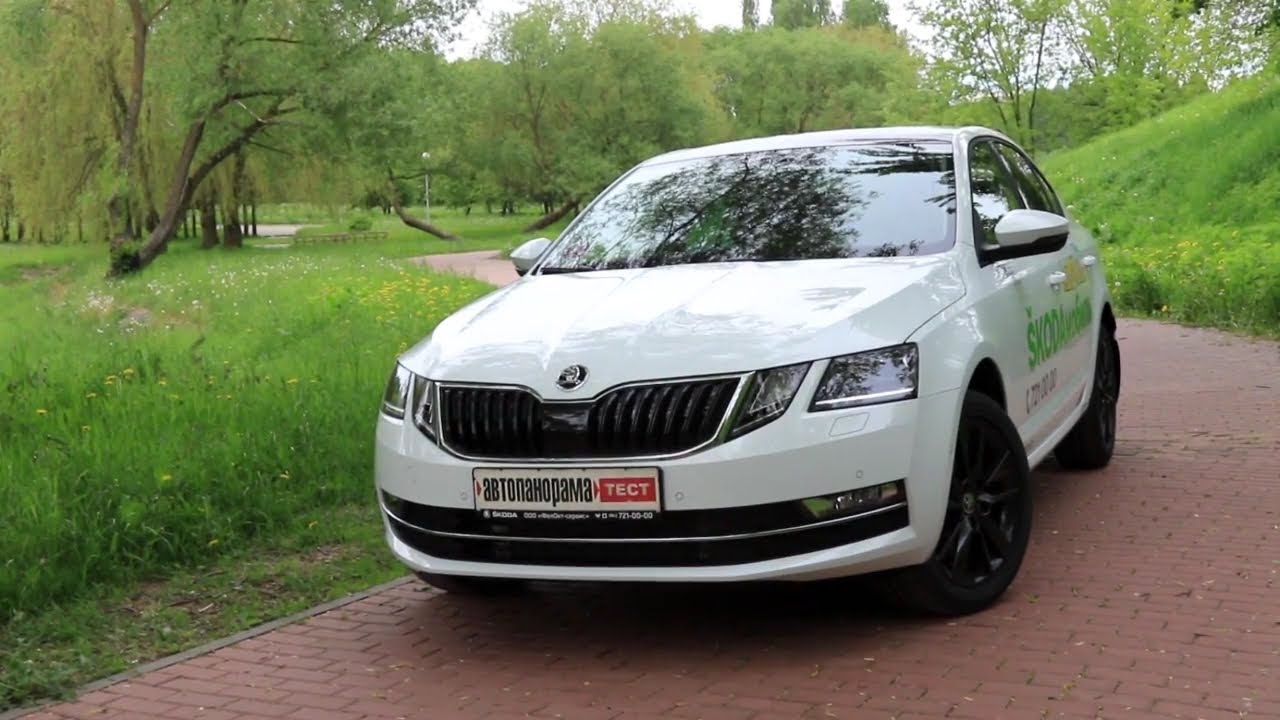 Тест драйв октавии. Skoda Octavia 2019. Skoda тест драйв.