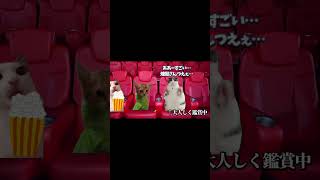 鬼滅の映画見に行く猫の日常 #猫マニ #Catmeme #猫ミーム #Shorts #Short