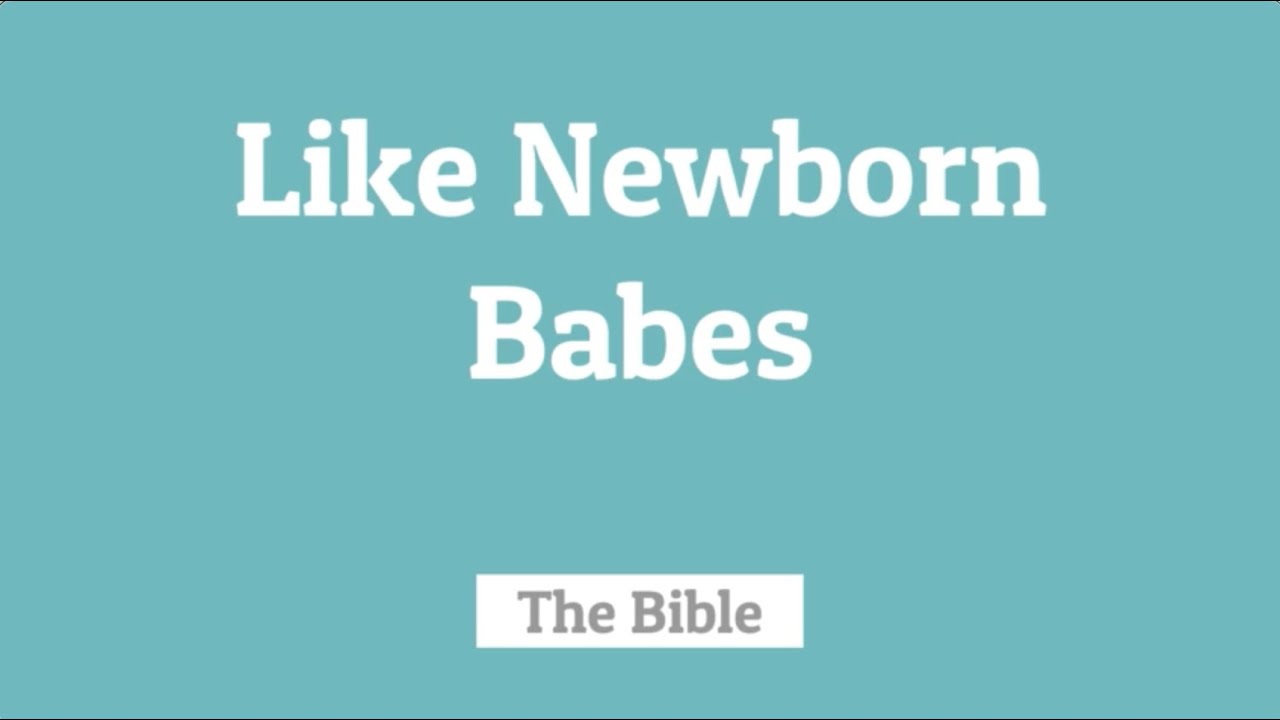 Like Newborn Babes - The Bible