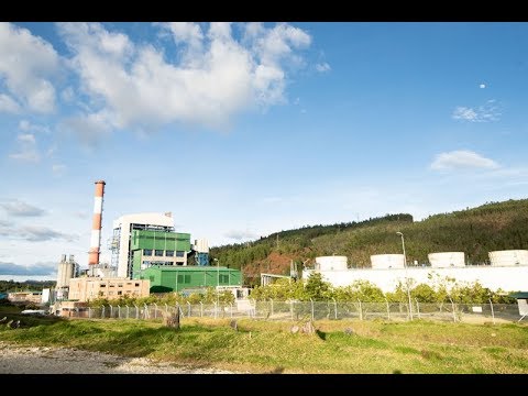 STEAG Kraftwerk Termopaipa - Deutsch