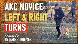 Elevate Your AKC Novice Game with These Left and Right Turn Training Strategies