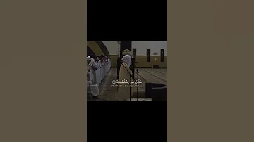 ياليتها كانت القاضية تلاوات ياسر الدوسري 