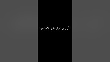 كروما شاشه سوداء قرآن كريم 🌿 تلاوة من سورة الزمر 🌿 القارئ صالح الانصاري