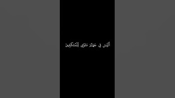 كروما شاشه سوداء قرآن كريم 🌿 تلاوة من سورة الزمر 🌿 القارئ صالح الانصاري