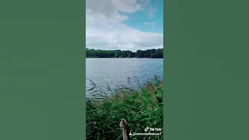 جورج وسوف قلب العاشق دليلو 