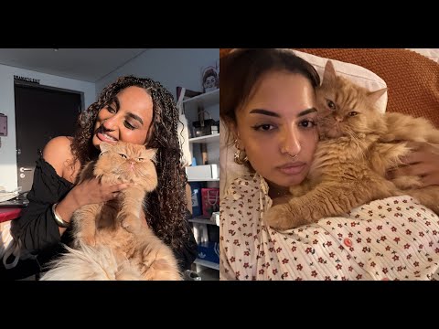 رفيق سكن جدييييد     