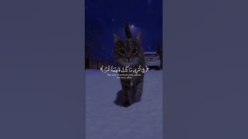 قرآن بصوت الشيخ ياسر الدوسري💗💗#تلاوة_خاشعة #تلاوة_خاشعة #قرآن #ياسر_الدوسري #سورة_النمل #راحة_نفسية