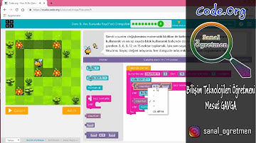 Code.Org Kurs 4 Ders 9 Arı Şununla Say For Döngüleri