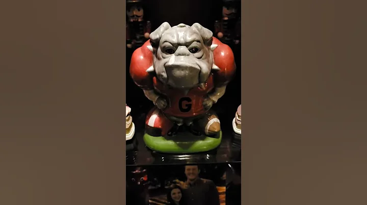 Lynn Stubbs Streets loves Georgia Bulldogs