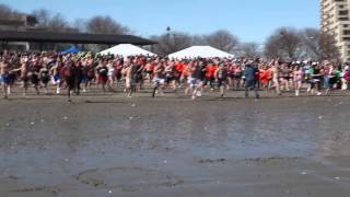 2014 Polar Plunge