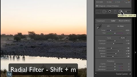 Lightroom Layering Techniques with the Radial and Gradient Filter