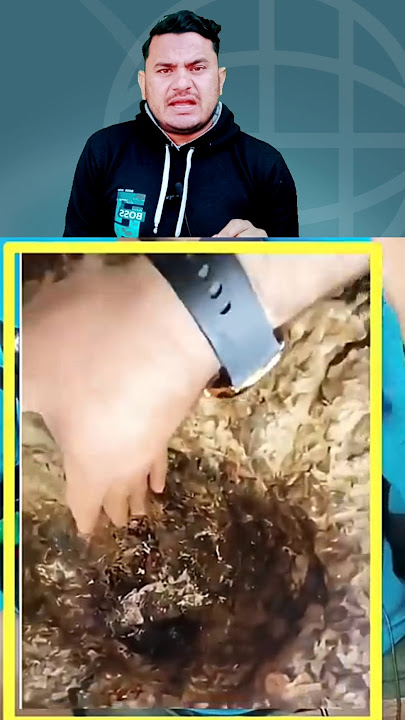 Pyare Nabi Sallallahu Alehiwasallam par lakho durood