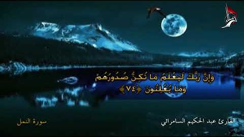 القارئ  الشيخ عبد الحكيم السامرائي   سورة النمل